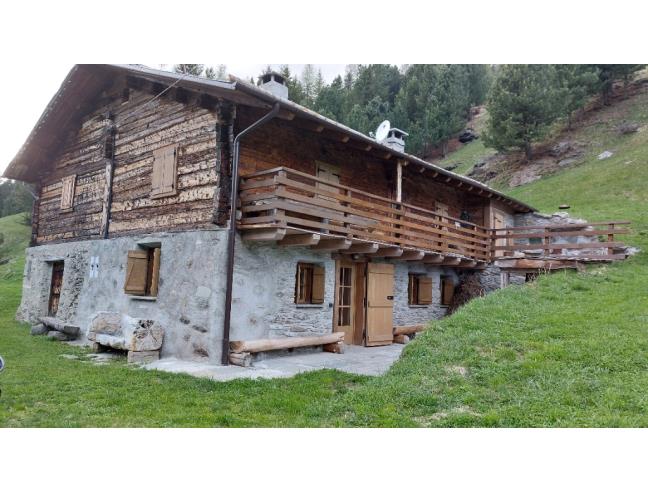 Anteprima foto 1 - Affitto Baita/Chalet/Trullo Vacanze da Privato a Valfurva - Santa Caterina Valfurva