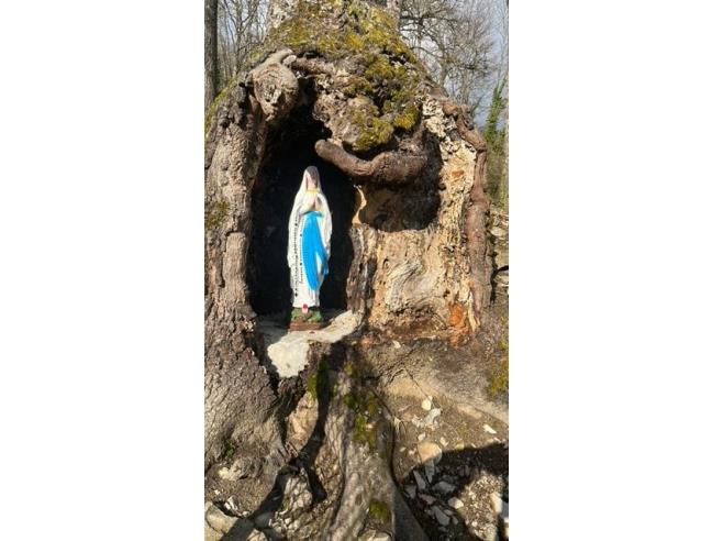 Anteprima foto 6 - Affitto Baita/Chalet/Trullo Vacanze da Privato a Ventasso (Reggio Emilia)