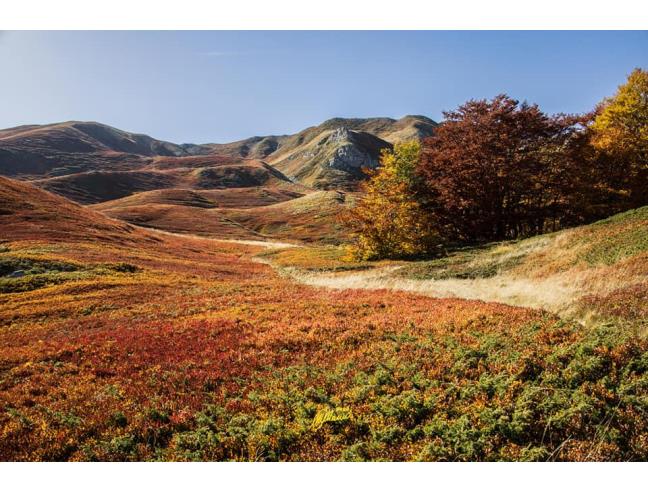 Anteprima foto 7 - Affitto Baita/Chalet/Trullo Vacanze da Privato a Ventasso (Reggio Emilia)