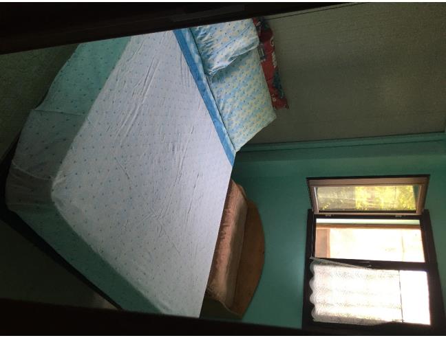 Anteprima foto 7 - Affitto Bungalow Vacanze da Privato a Cardedu (Nuoro)