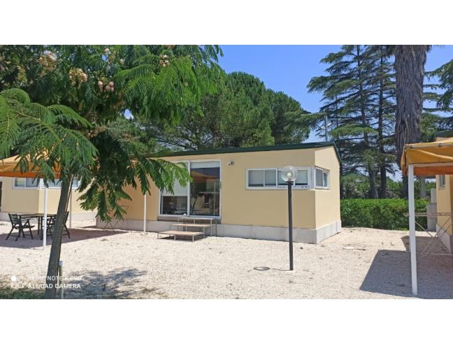 Anteprima foto 1 - Affitto Bungalow Vacanze da Privato a Lizzano (Taranto)