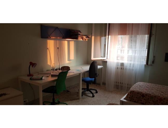 Anteprima foto 5 - Affitto Camera Doppia in Appartamento da Privato a Ancona - Centro città