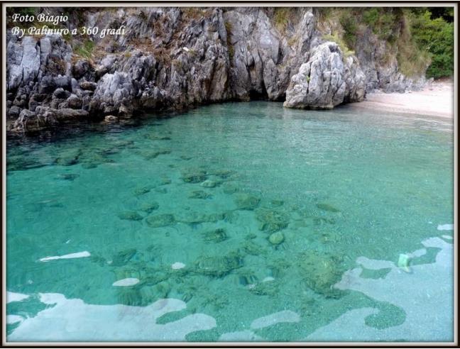 Anteprima foto 4 - Affitto Camera Doppia in Appartamento da Privato a Camerota - Marina Di Camerota