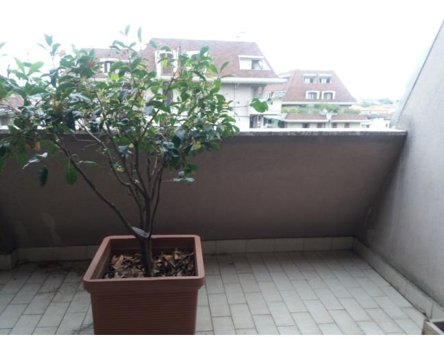 Anteprima foto 5 - Affitto Camera Doppia in Appartamento da Privato a Cologno Monzese (Milano)