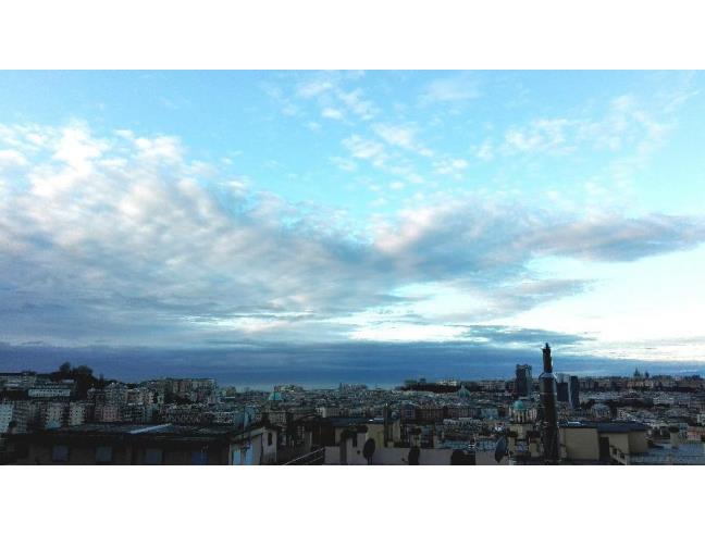 Anteprima foto 7 - Affitto Camera Doppia in Appartamento da Privato a Genova - San Fruttuoso