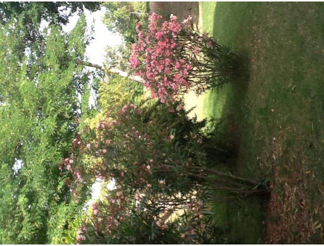 Anteprima foto 2 - Affitto Camera Doppia in Appartamento da Privato a Jesi (Ancona)