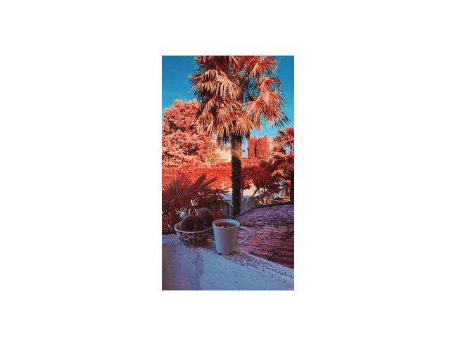 Anteprima foto 2 - Affitto Camera Doppia in Casa indipendente da Privato a Roncade (Treviso)