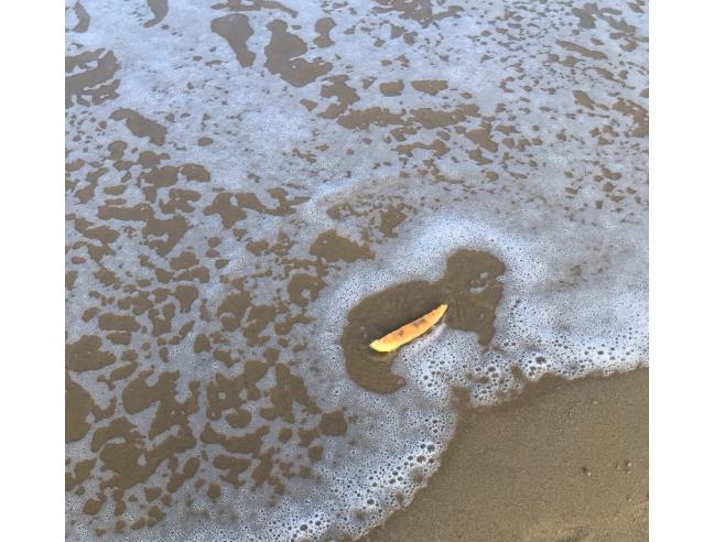 Anteprima foto 6 - Affitto Camera Posto letto in Altro da Privato a Termoli (Campobasso)