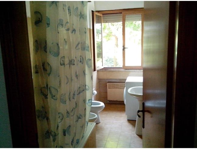 Anteprima foto 6 - Affitto Camera Posto letto in Appartamento da Privato a Urbino - San Marino Di Urbino