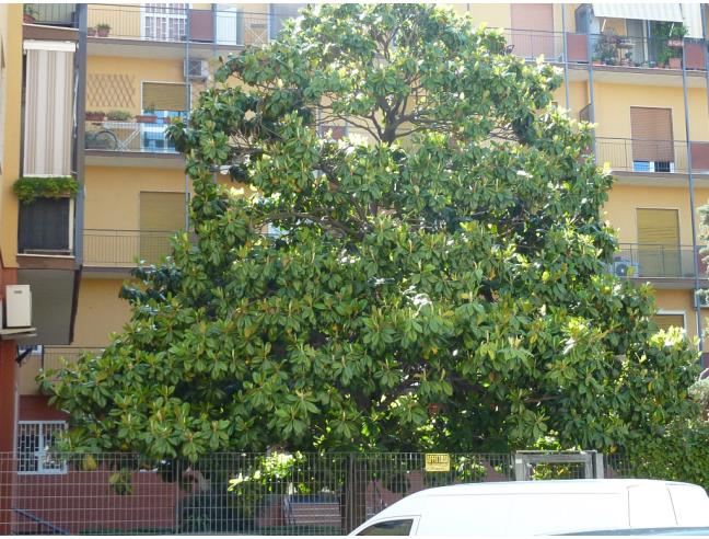 Anteprima foto 4 - Affitto Camera Singola in Appartamento da Privato a Bari - San Pasquale