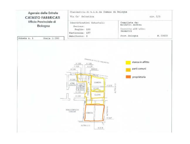 Anteprima foto 1 - Affitto Camera Singola in Appartamento da Privato a Bologna - Centro Storico
