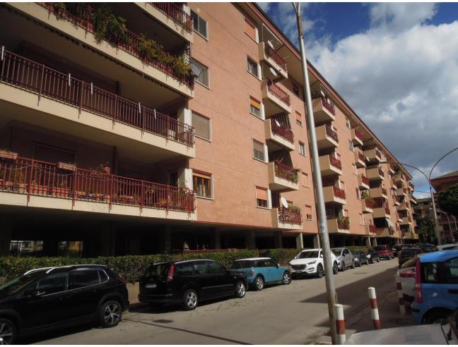 Anteprima foto 1 - Affitto Camera Singola in Appartamento da Privato a Caserta - Centro città