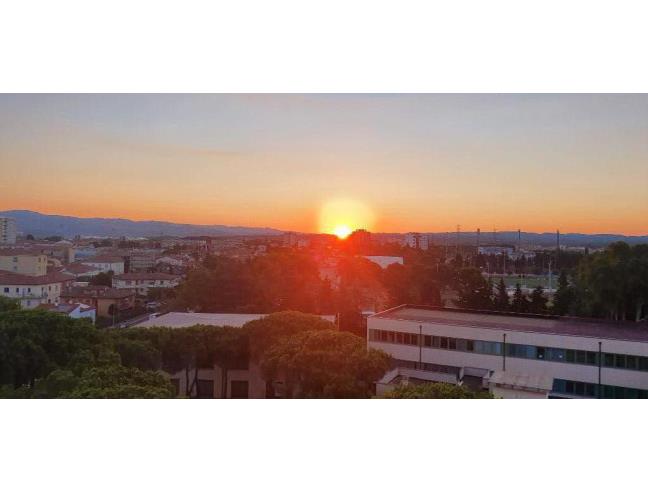 Anteprima foto 5 - Affitto Camera Singola in Appartamento da Privato a Cecina (Livorno)