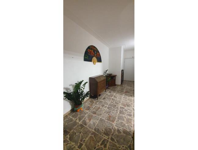 Anteprima foto 6 - Affitto Camera Singola in Appartamento da Privato a Cecina (Livorno)