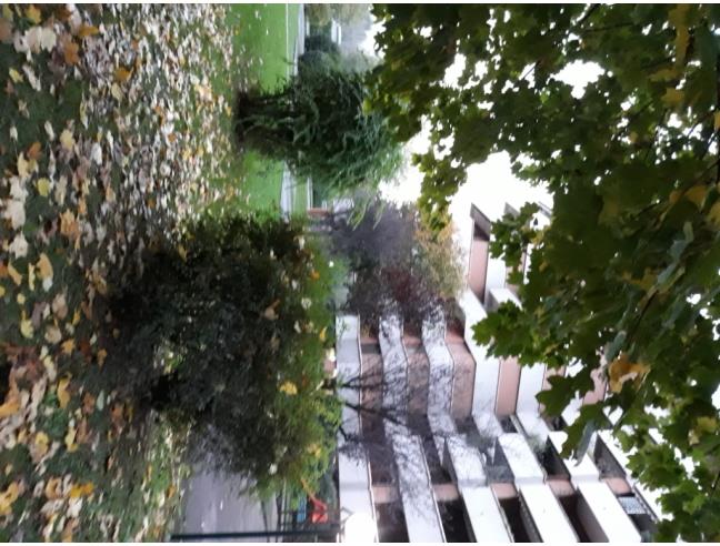 Anteprima foto 7 - Affitto Camera Singola in Appartamento da Privato a Cologno Monzese (Milano)