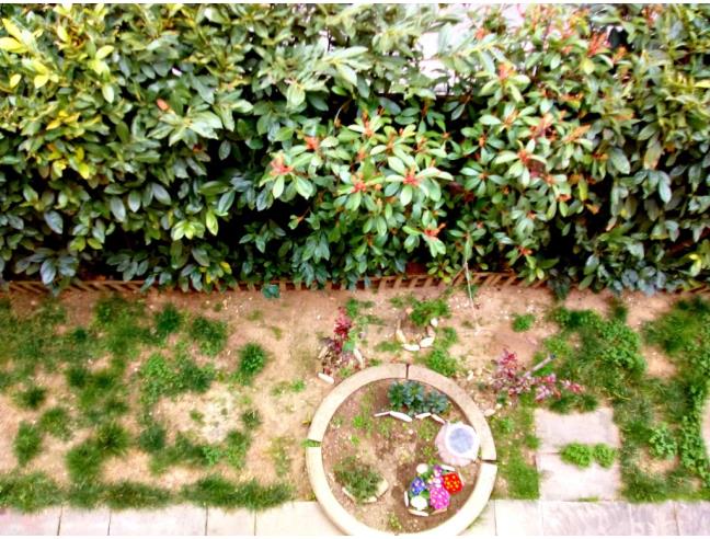 Anteprima foto 7 - Affitto Camera Singola in Appartamento da Privato a Firenze - Pistoiese