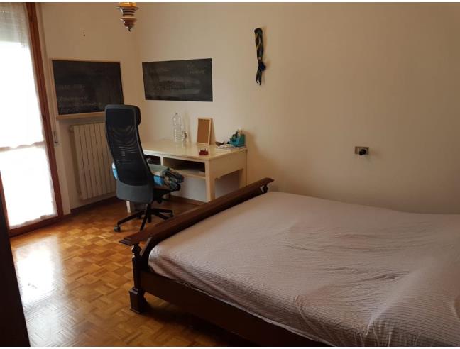 Anteprima foto 1 - Affitto Camera Singola in Appartamento da Privato a Forlì (Forlì-Cesena)