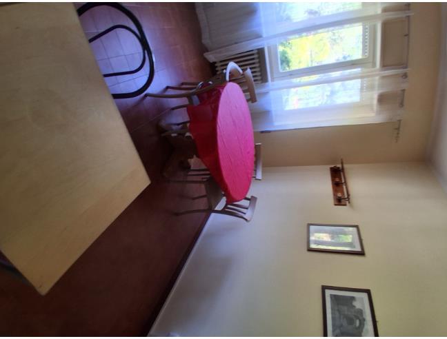 Anteprima foto 8 - Affitto Camera Singola in Appartamento da Privato a Frosinone - Centro città