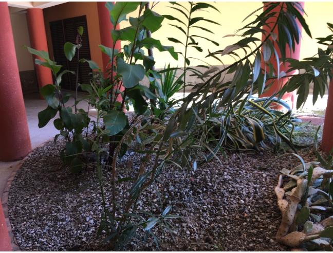 Anteprima foto 3 - Affitto Camera Singola in Appartamento da Privato a Messina (Messina)