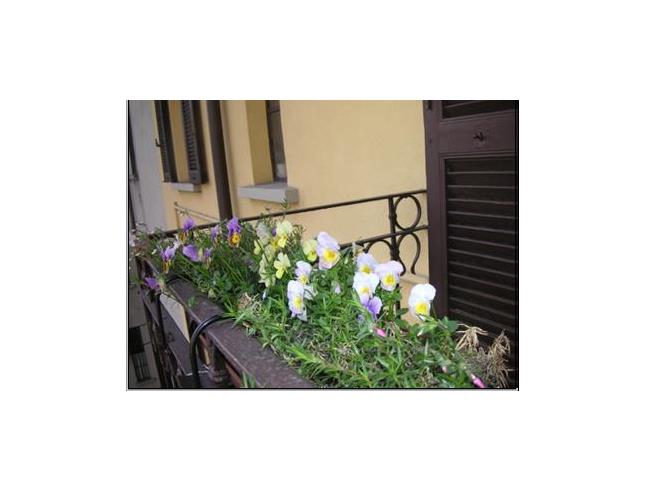 Anteprima foto 4 - Affitto Camera Singola in Appartamento da Privato a Milano - Bocconi