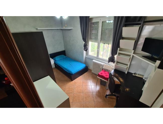 Anteprima foto 1 - Affitto Camera Singola in Appartamento da Privato a Milano - Villa Pizzone