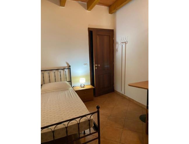 Anteprima foto 2 - Affitto Camera Singola in Appartamento da Privato a Mirandola - San Giacomo Roncole