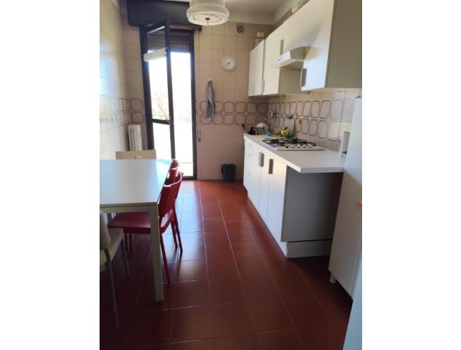 Anteprima foto 2 - Affitto Camera Singola in Appartamento da Privato a Padova - Bassanello