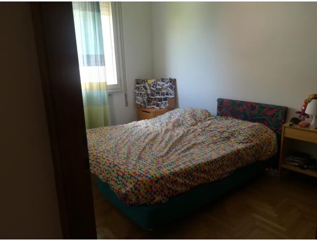 Anteprima foto 2 - Affitto Camera Singola in Appartamento da Privato a Padova - Padovanelle