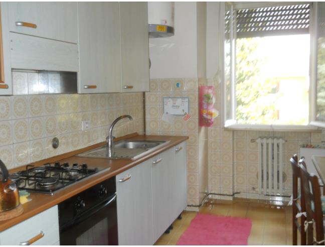 Anteprima foto 6 - Affitto Camera Singola in Appartamento da Privato a Parma - San Leonardo