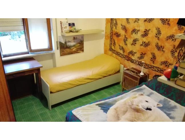 Anteprima foto 1 - Affitto Camera Singola in Appartamento da Privato a Pisa - Barbaricina