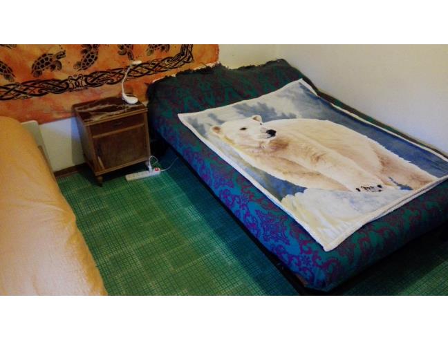 Anteprima foto 2 - Affitto Camera Singola in Appartamento da Privato a Pisa - Barbaricina