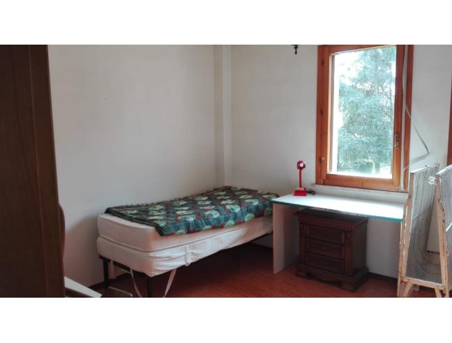 Anteprima foto 4 - Affitto Camera Singola in Appartamento da Privato a Pisa - Barbaricina