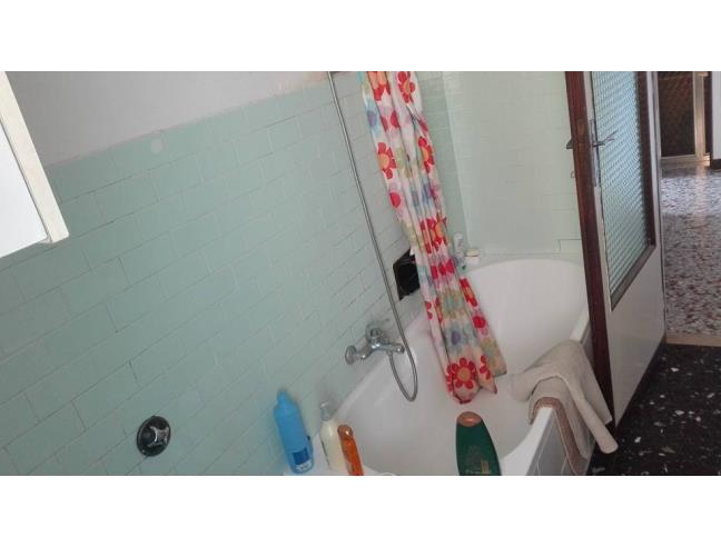 Anteprima foto 4 - Affitto Camera Singola in Appartamento da Privato a Pisa - Centro Storico