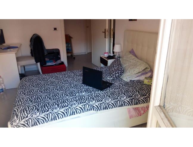 Anteprima foto 2 - Affitto Camera Singola in Appartamento da Privato a Pisa - Stazione