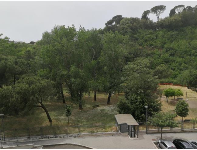 Anteprima foto 1 - Affitto Camera Singola in Appartamento da Privato a Roma - Aurelio