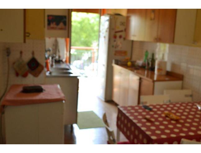 Anteprima foto 2 - Affitto Camera Singola in Appartamento da Privato a Roma - Casilina