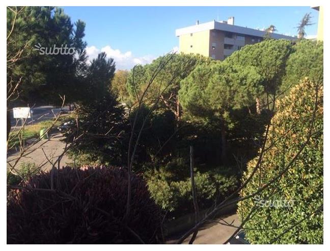 Anteprima foto 3 - Affitto Camera Singola in Appartamento da Privato a Roma - Eur