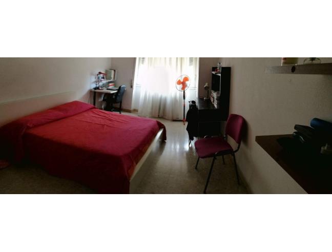 Anteprima foto 3 - Affitto Camera Singola in Appartamento da Privato a Roma - Tiburtino