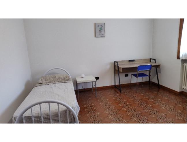 Anteprima foto 1 - Affitto Camera Singola in Appartamento da Privato a Rovigo (Rovigo)
