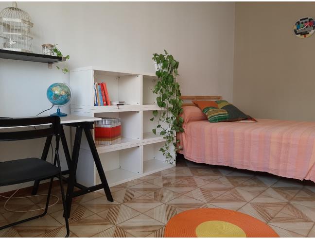 Anteprima foto 1 - Affitto Camera Singola in Appartamento da Privato a San Nicola la Strada (Caserta)