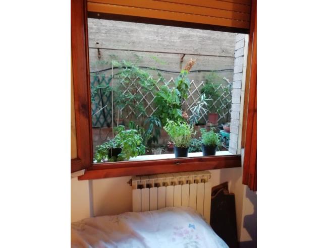 Anteprima foto 4 - Affitto Camera Singola in Appartamento da Privato a Siena (Siena)