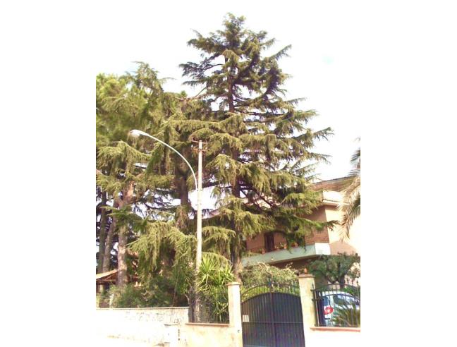 Anteprima foto 4 - Affitto Camera Singola in Appartamento da Privato a Tivoli - Centro