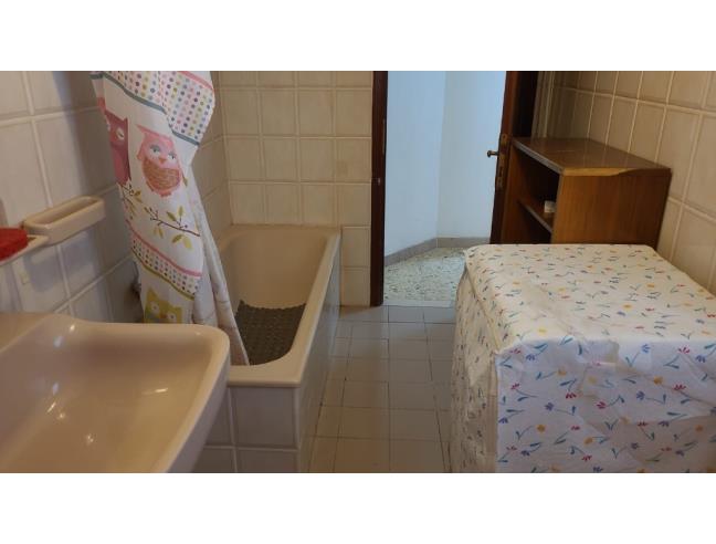 Anteprima foto 3 - Affitto Camera Singola in Appartamento da Privato a Urbino (Pesaro e Urbino)