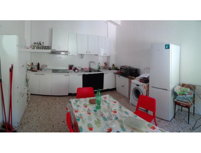 Anteprima foto 3 - Affitto Camera Singola in Appartamento da Privato a Urbino (Pesaro e Urbino)