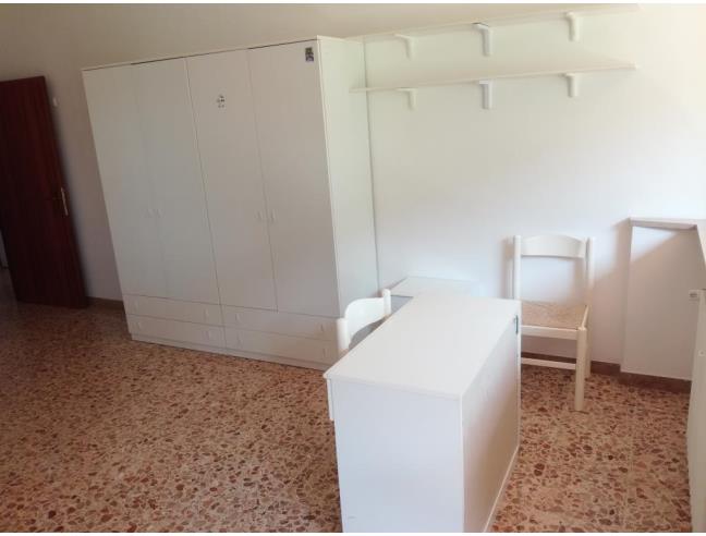 Anteprima foto 4 - Affitto Camera Singola in Appartamento da Privato a Urbino (Pesaro e Urbino)