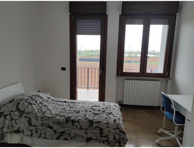 Anteprima foto 1 - Affitto Camera Singola in Appartamento da Privato a Verona - Borgo Roma