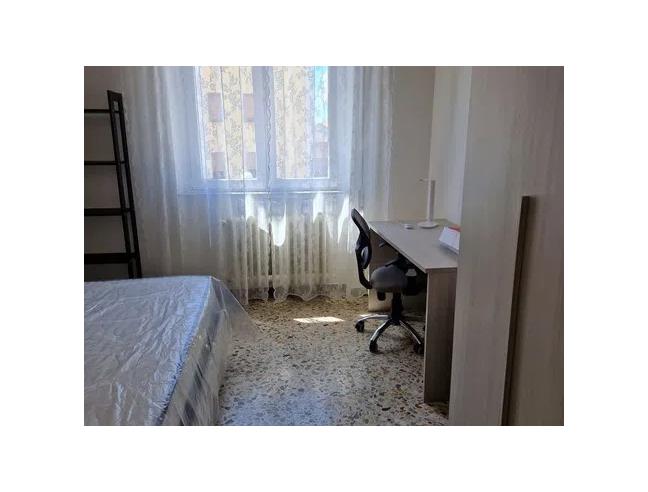 Anteprima foto 3 - Affitto Camera Singola in Appartamento da Privato a Viterbo (Viterbo)