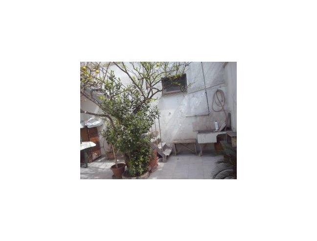 Anteprima foto 8 - Affitto Camera Singola in Casa indipendente da Privato a Sogliano Cavour (Lecce)