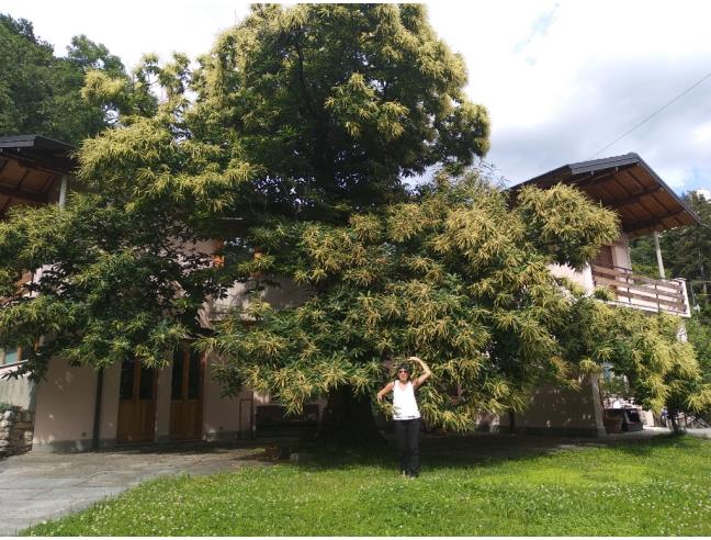 Anteprima foto 8 - Affitto Camera Singola in Villa da Privato a Brunate (Como)