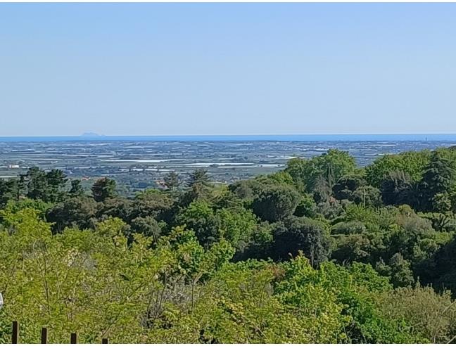 Anteprima foto 8 - Affitto Camera Singola in Villa da Privato a Genzano di Roma (Roma)